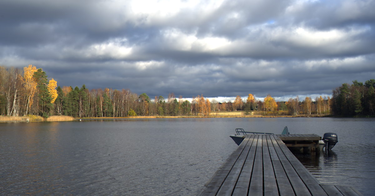 Jutun kansikuva